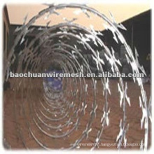 Anti-corrosion CBT-65 galvanized Scraper type razor barbed wire for protection with reasonable price (manufacturer)